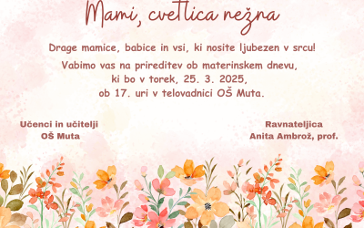 Ogled posnetka prireditve ob materinskem dnevu