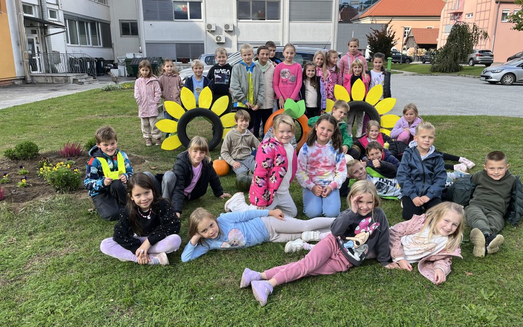 Interesna dejavnost Vrt in rastline