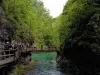 slika-1