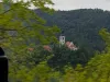 slika-3